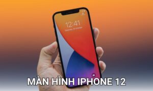 Đánh giá màn hình iPhone 12